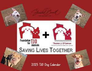 2025 Dog Wall Calendar