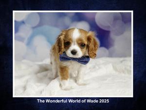 The Wonderful World of Wade 2025 Calender