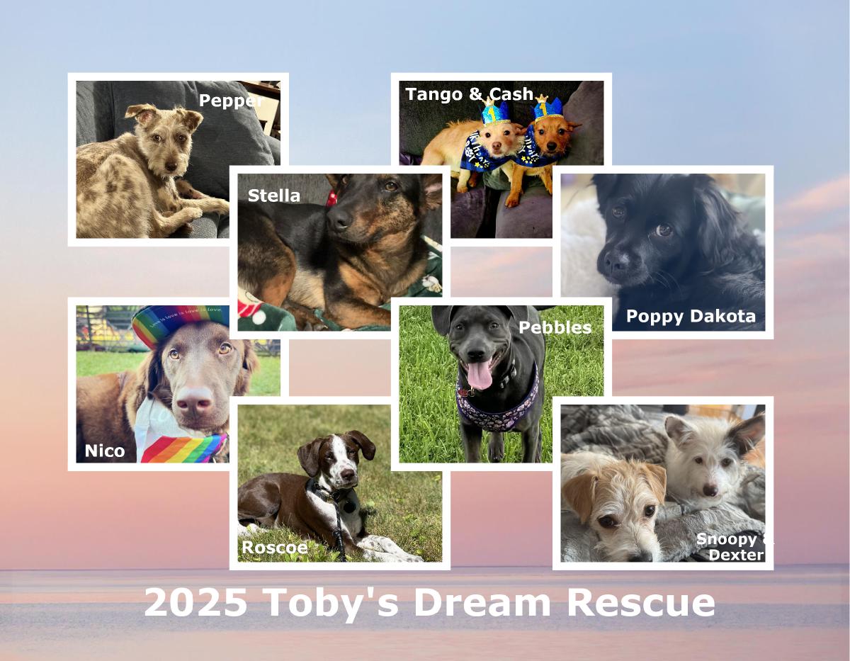 2025 Tobys Dream Rescue Calendar