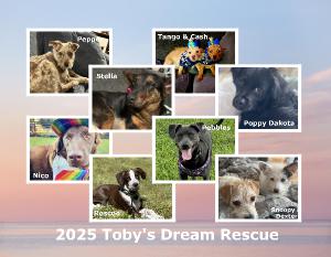 2025 Toby's Dream Calendar