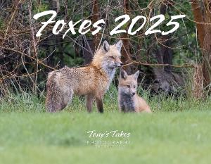 2025 Foxes Calendar