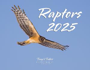 2025 Raptors Calendar