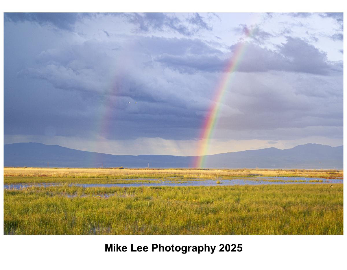 Mike Lee Photography 2025