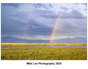 Mike Lee Photography 2025