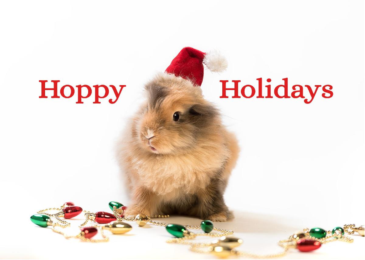 Hoppy Holidays