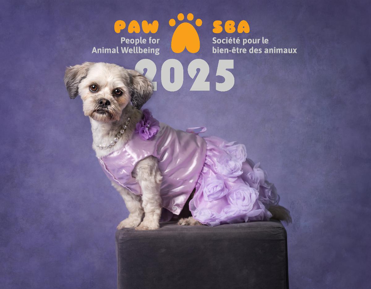 2025 PAW-SBA Calendar