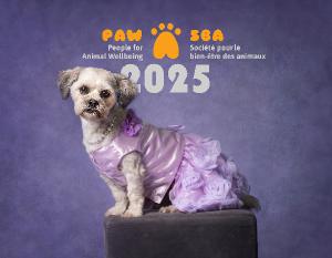 2025 PAW-SBA Calendar