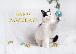 Happy Pawlidays - Cat