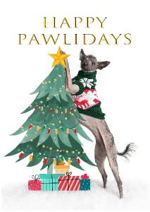 Happy Pawlidays