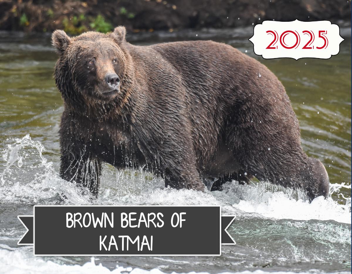 Brown Bears of Katmai 2025