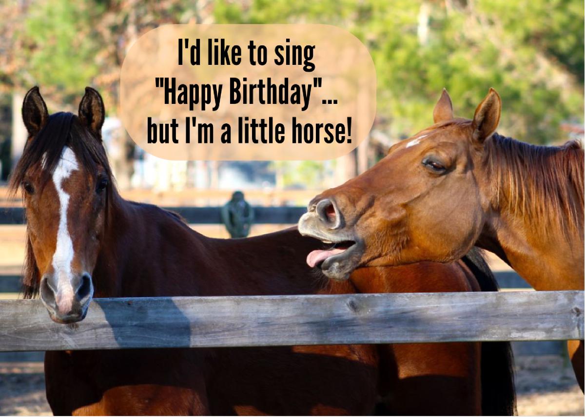 I'd like to sing Happy Birthday... but I'm horse!