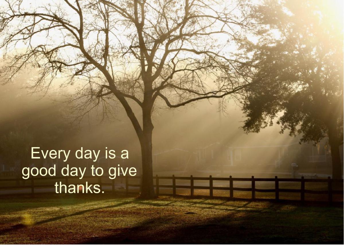 Every Day is a Good Day to Give Thanks