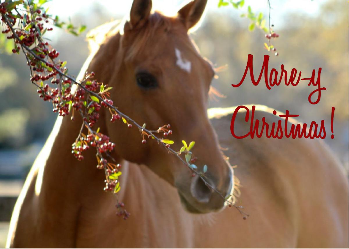 Mare-y Christmas