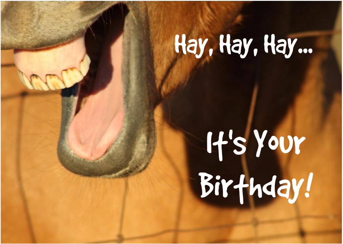 Hay, Hay, Hay... It's Your Birthday!