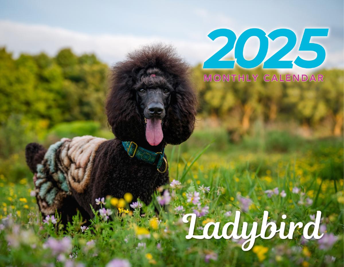 The 2025 Dog Contest Calendar