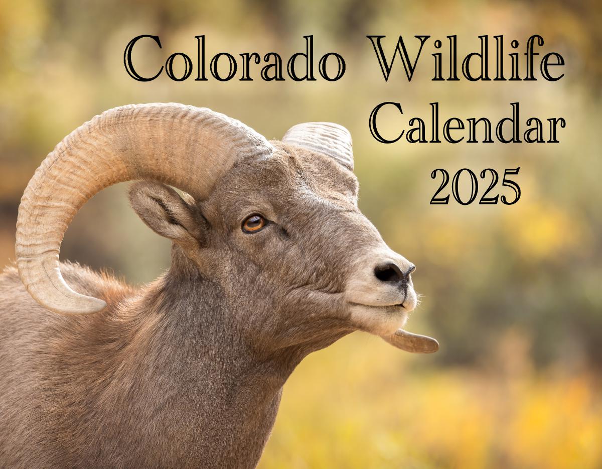 Colorado Wildlife Calendar 2025