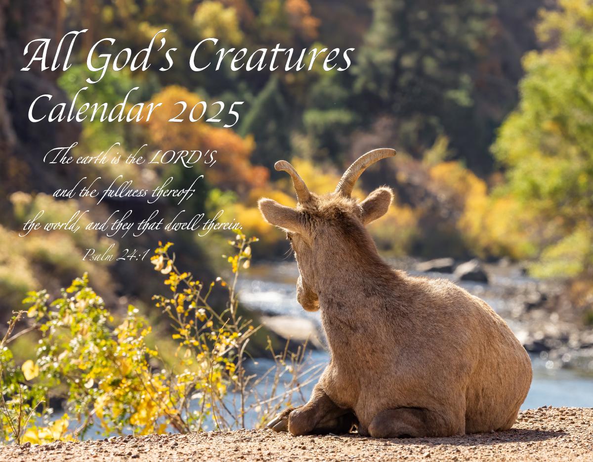 All God's Creatures Calendar 2025