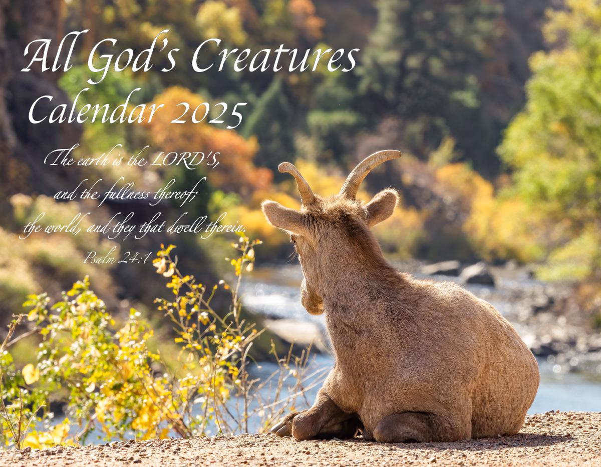 All God's Creatures Calendar 2025