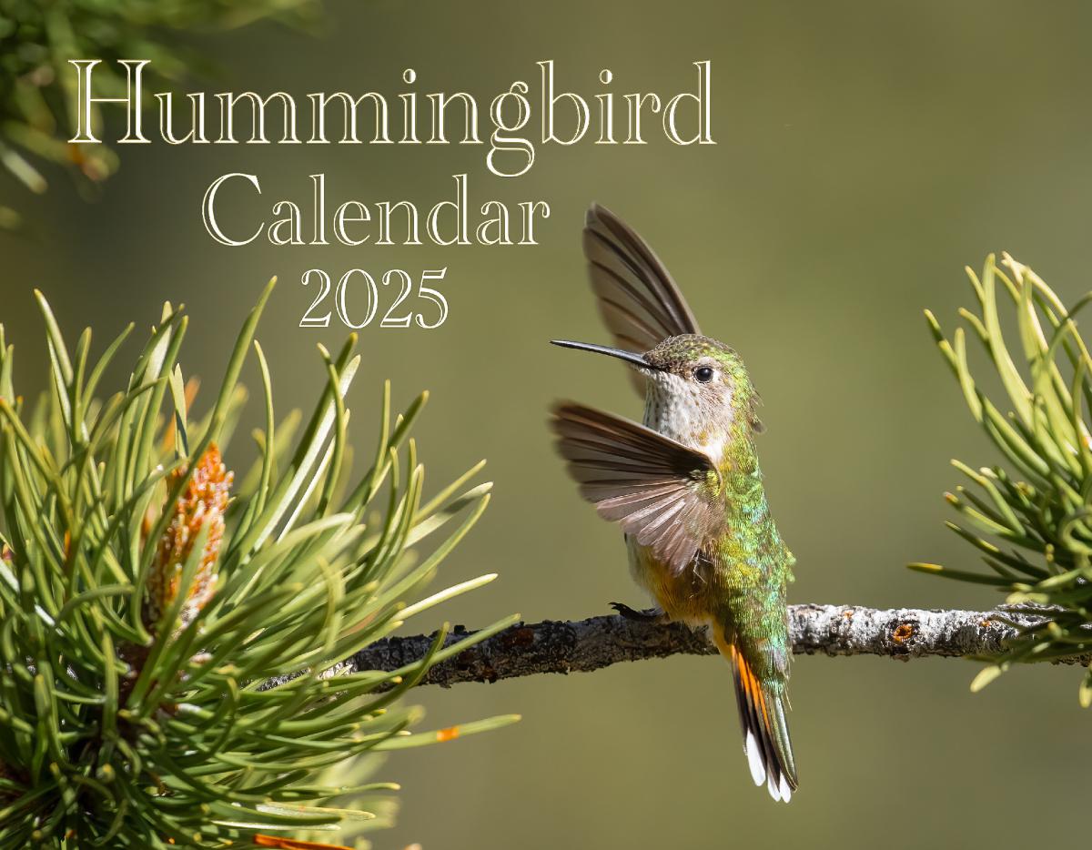 Hummingbird Calendar 2025