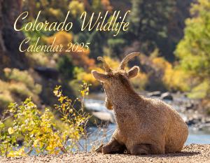 Colorado Wildlife Calendar 2025