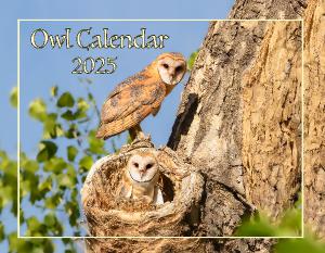 Owl Calendar 2025