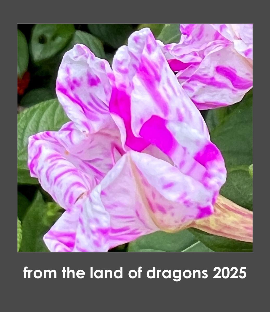 from the land of dragons 2025