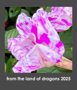 from the land of dragons 2025