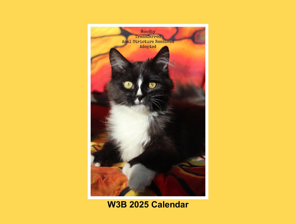 W3B 2025 Calendar