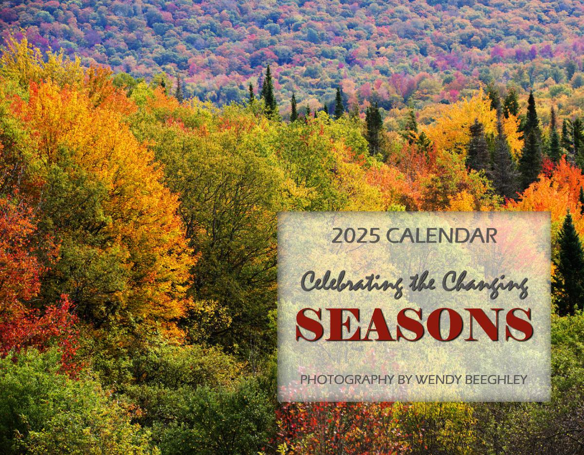 2025 Wall Calendar: The Changing Seasons