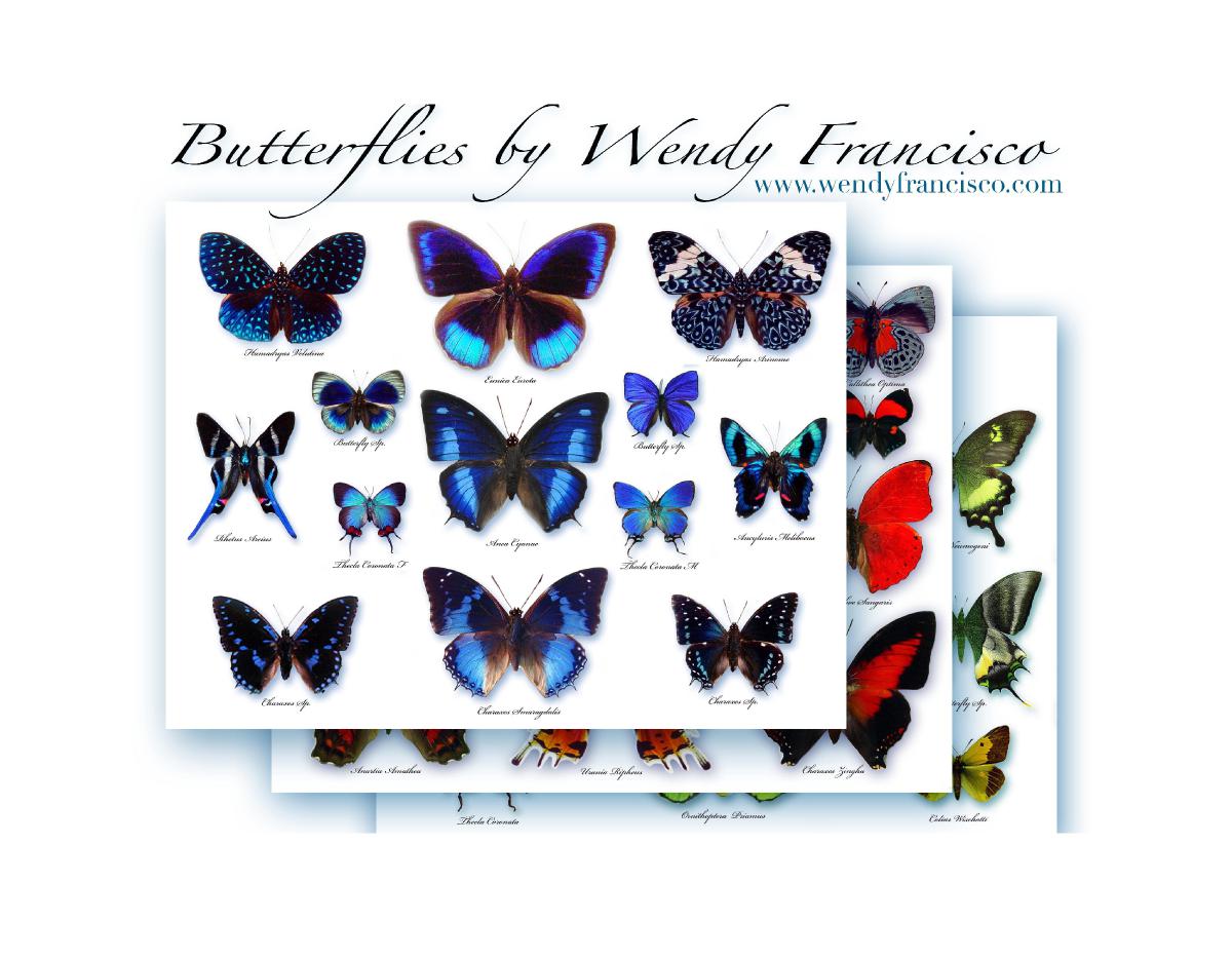 Butterfly Calendar