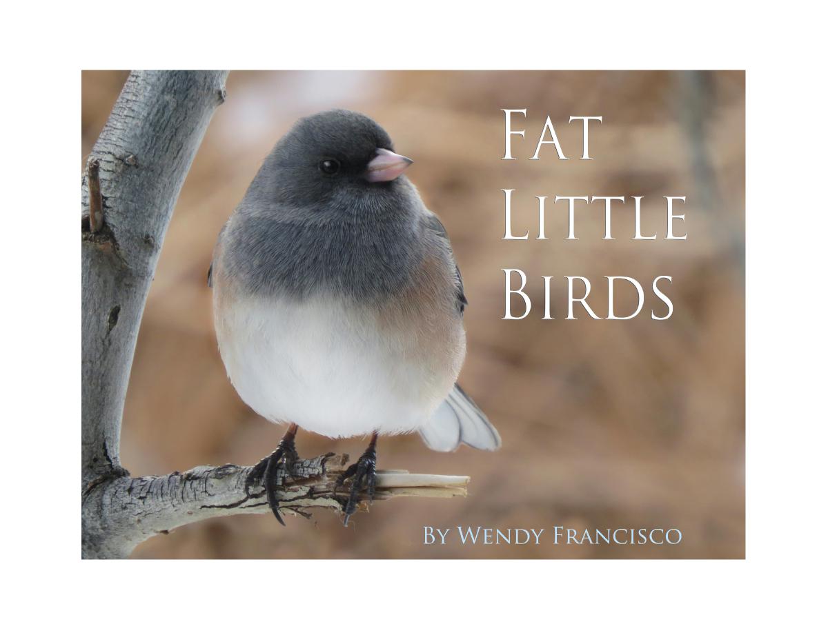 Fat Little Birds