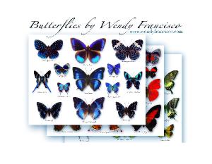 Butterfly Calendar