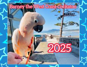 Barney 2025 Calendar