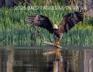 2025 Bald Eagles NE TN/SW VA