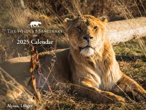 The 2025 Wildcat Sanctuary Calendar