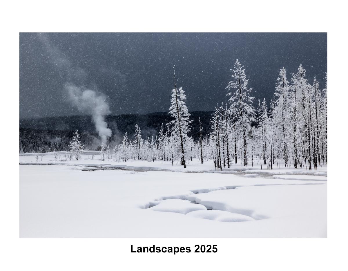 Landscapes 2025