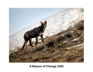 A Season of Change 2025