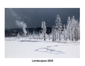 Landscapes 2025