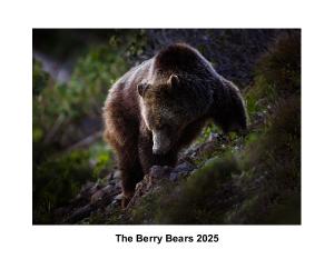 The Berry Bears 2025