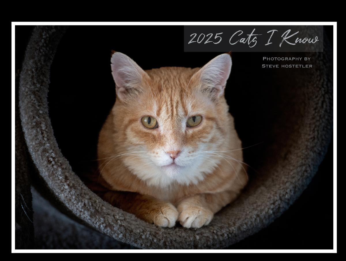 2025 "Cats I Know" Calendar