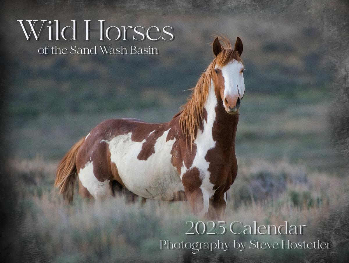 2025 Wild Horses of the Sand Wash Basin Calendar