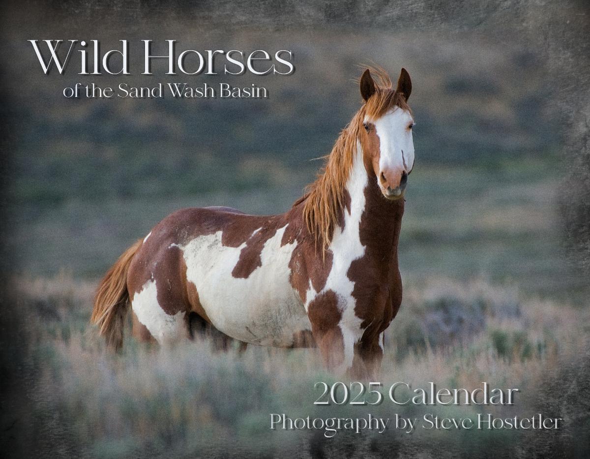 2025 Wild Horses of the Sand Wash Basin Calendar