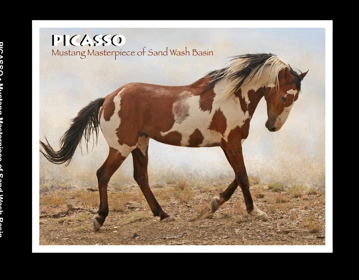 Picasso:  Mustang Masterpiece of Sand Wash Basin