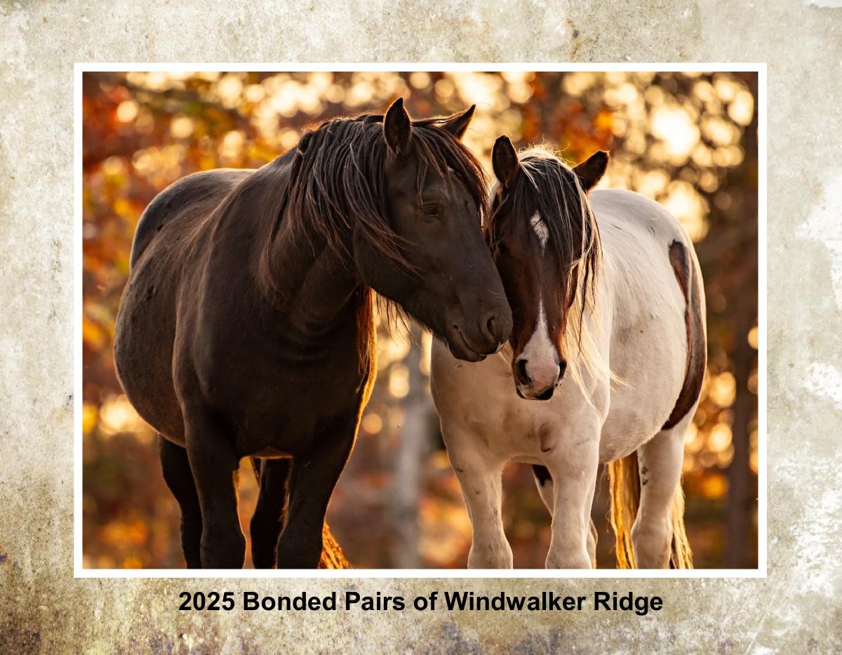 WRMS 2025 Bonded Pairs Wall Calendar