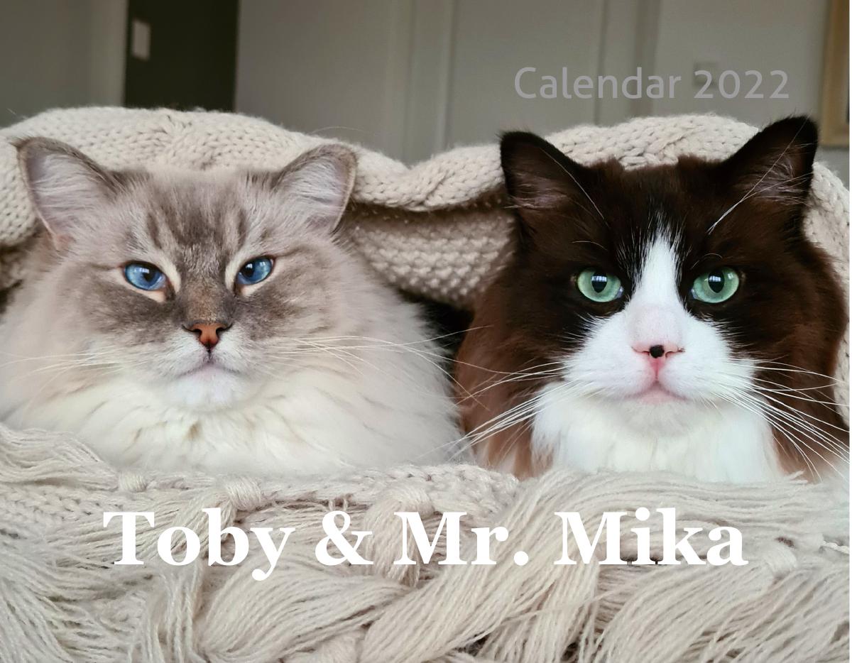 Toby & Mr. Mika Calendar 2022 | Create Photo Calendars