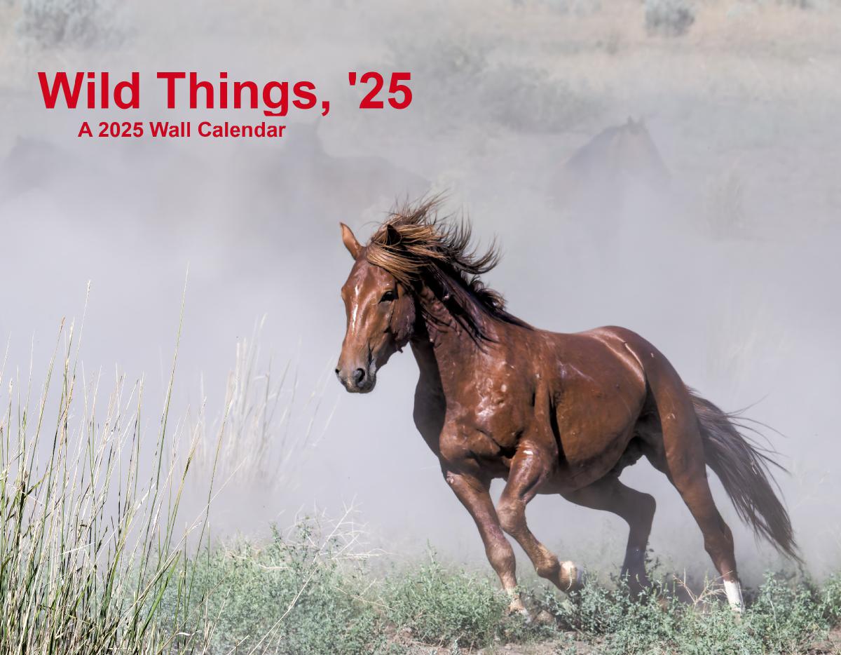 Wild Things - A 2025 Calendar