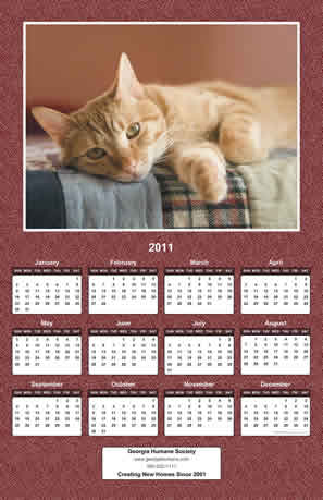 Create Humane Society Calendars, Animal Shelter Calendars, Animal ...