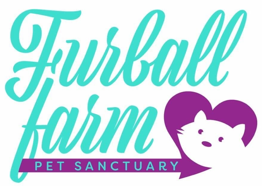 Furball Farm Pet Sanctuary Store | Create Photo Calendars