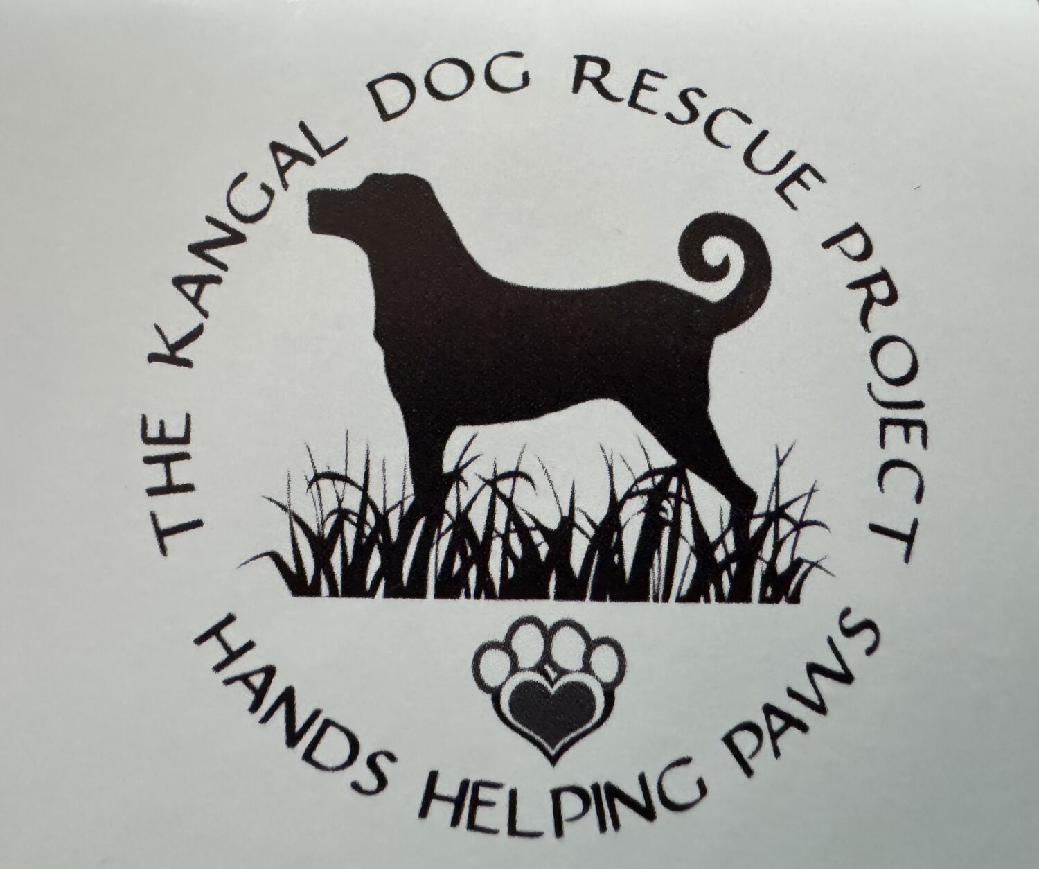 Hands Helping Paws 2025 Calendar