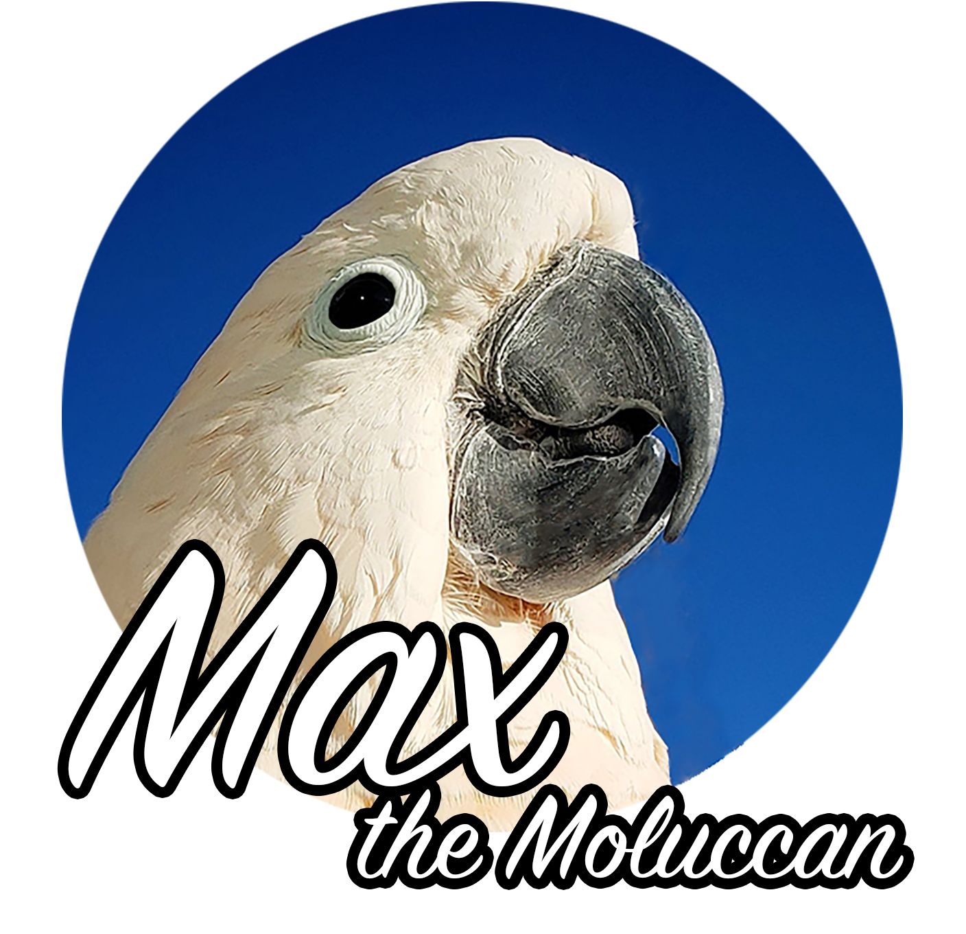 Max the Moluccan